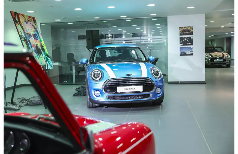 P90329513_highRes_-brancusi-amirou-dia