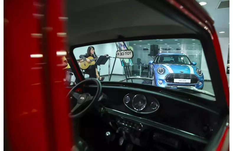 P90329514_highRes_-brancusi-amirou-dia