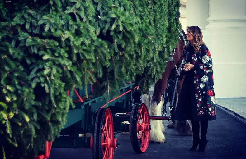 Melania Trump s-a îmbrăcat impecabil la ceremonia de primire a bradului de Crăciun la Casa Albă