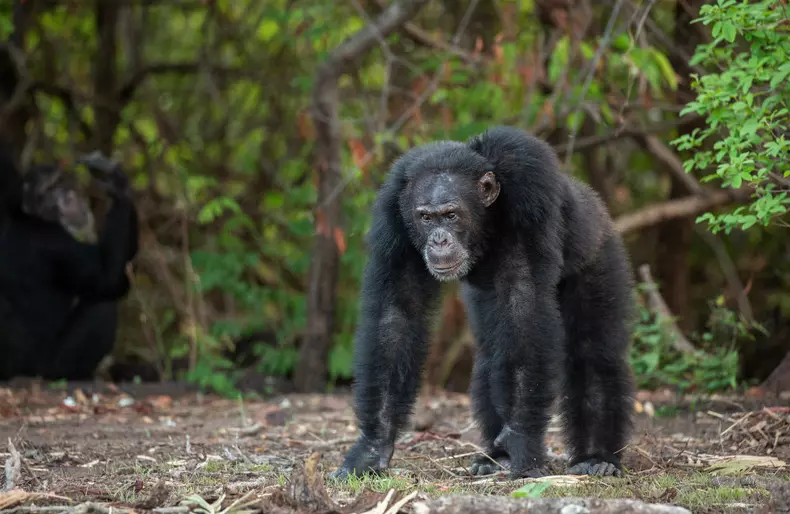 Dynasties_EP_01_004_Press_Pack