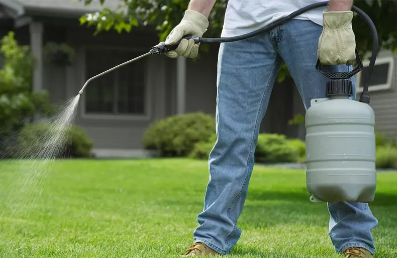 3d-deratizarecompleta.ro