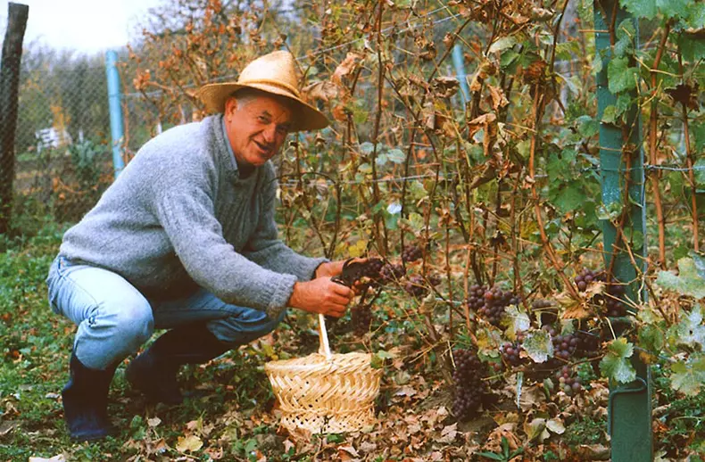 Dorel Vişan locuieşte la ţară