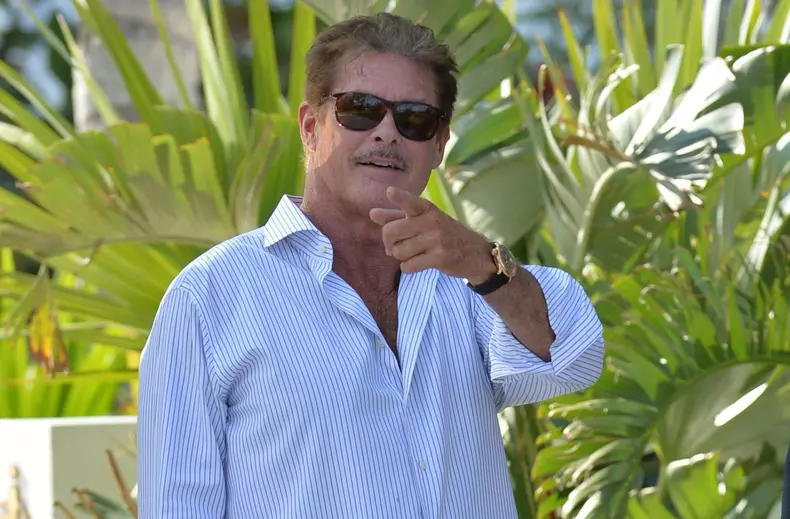 David Hasselhoff