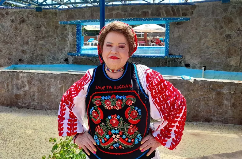 saveta bogdan artista