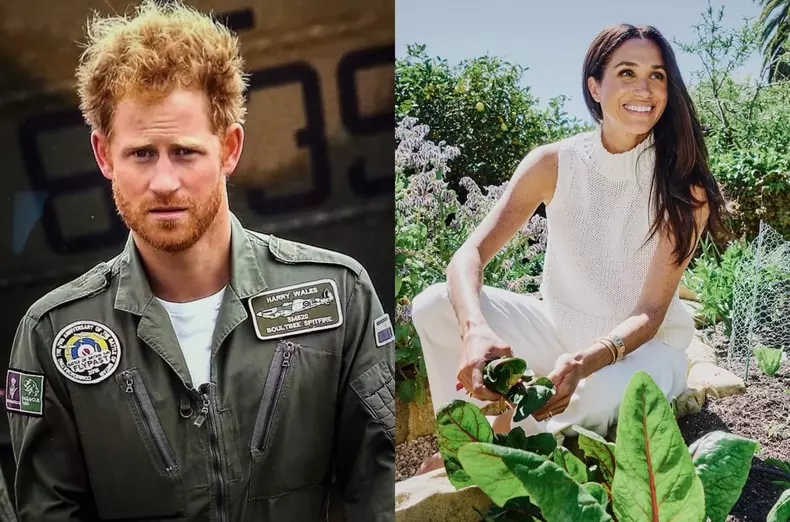 printul harry-meghan markle40
