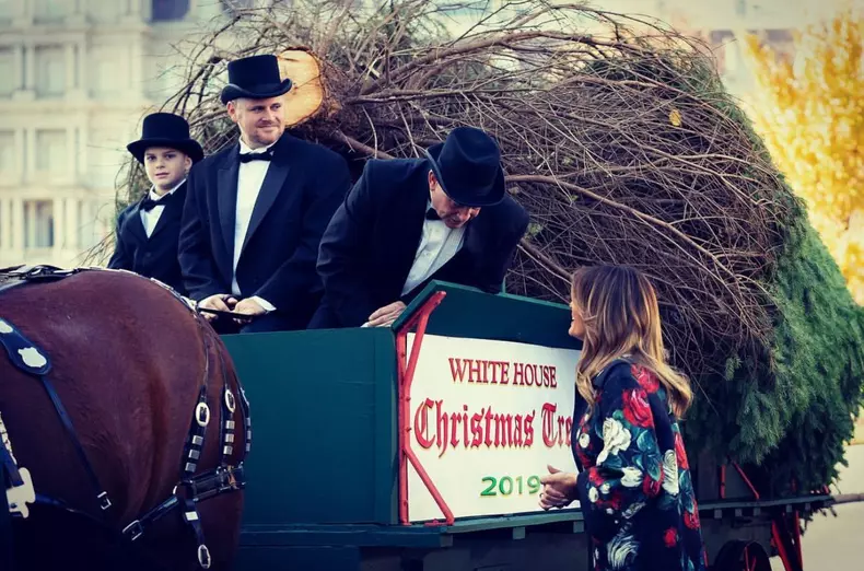 Melania Trump s-a îmbrăcat impecabil la ceremonia de primire a bradului de Crăciun la Casa Albă