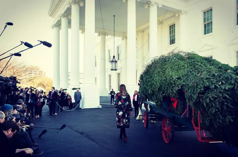 Melania Trump s-a îmbrăcat impecabil la ceremonia de primire a bradului de Crăciun la Casa Albă