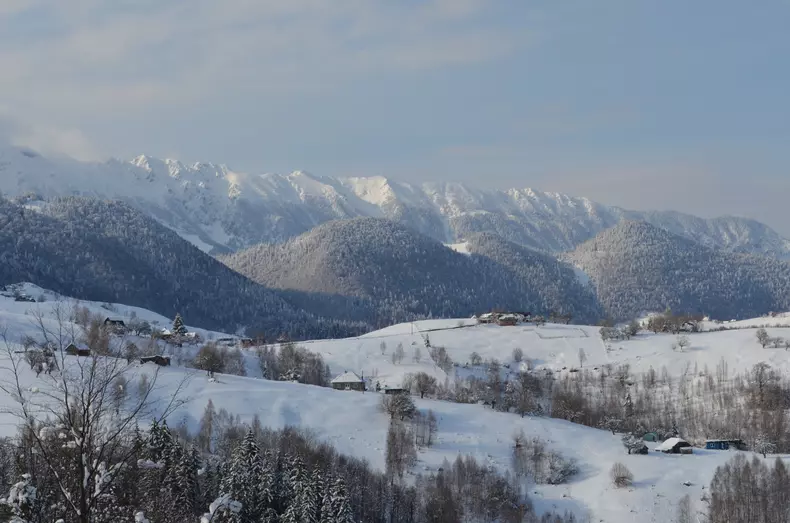 Exclusiv in Ro_Sirnea tainica