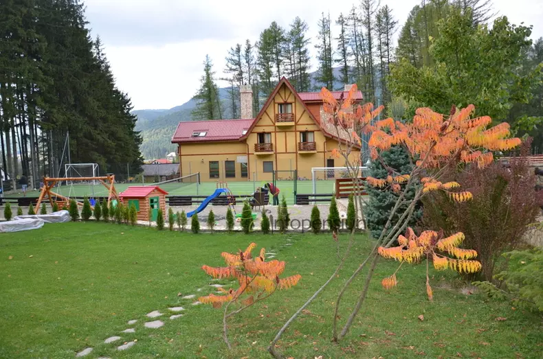 Gainusa renunta la pensiune