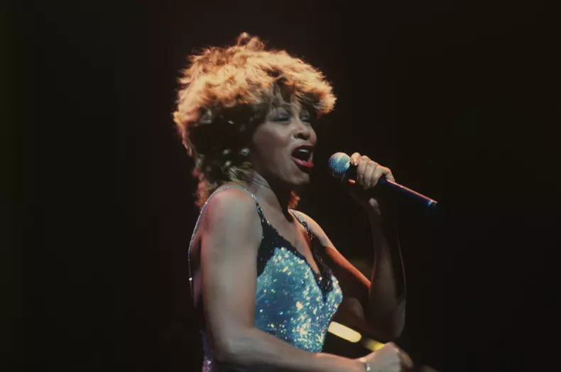 Singer Tina Turner