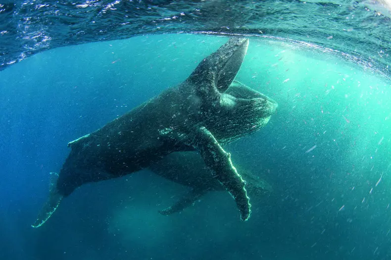 OURPLANET_LD_STEVEBENJAMIN-1