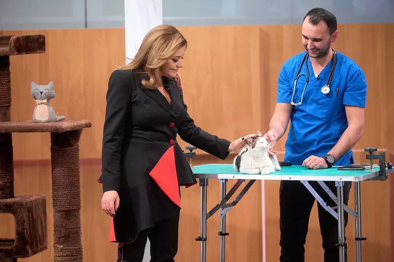 Cristina-Batlan-Cat-Shop-Imperiul-Leilor