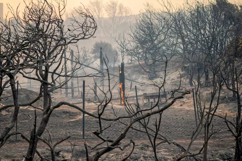 Local people and tourists have been evacuated from area after wild fires broke out on the island of Rhodes, Greece