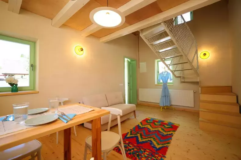 tudor-chirila-casa-porumbacu-2