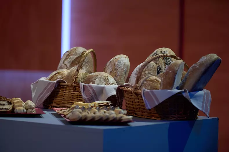 Irina Sorescu - Imperiul Leilor (2)