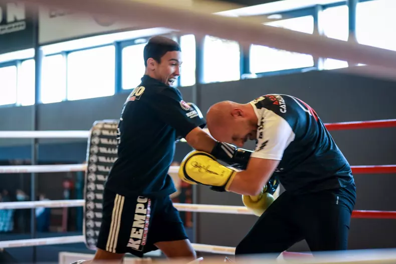 Alex-Gavrilescu-Vali-1