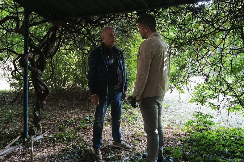 bebe-macelaru-si-david