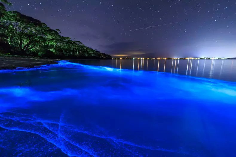 FLORESCENT PLANKTON LIGHT UP AUSTRALIAN SEA