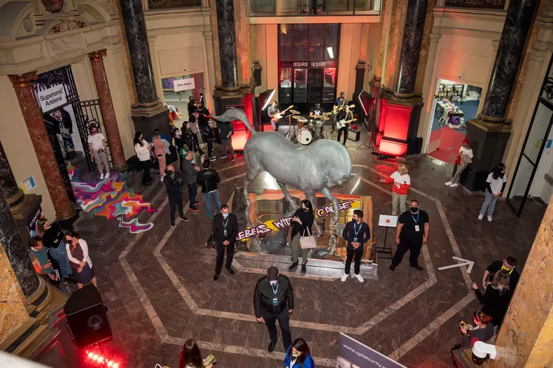 Art-Safari-muzica-live-la-Night-Tours