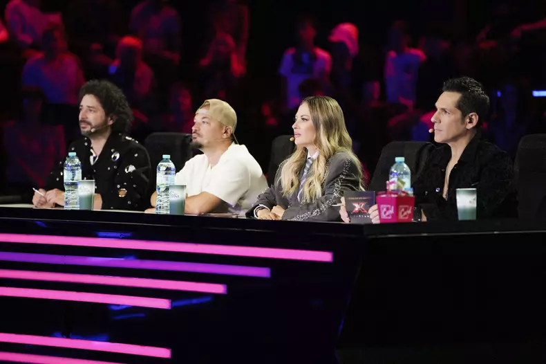 juriul X Factor (5)