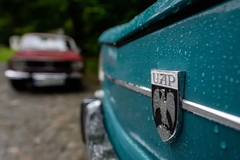 1100 vedetă pe internet