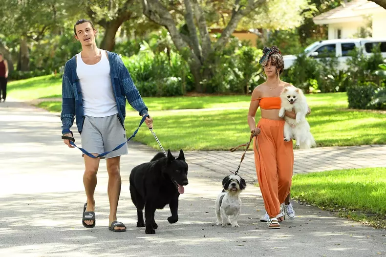 *PREMIUM-EXCLUSIVE* Shawn Mendes and Camila Cabello struggle with their Dogs on a walk