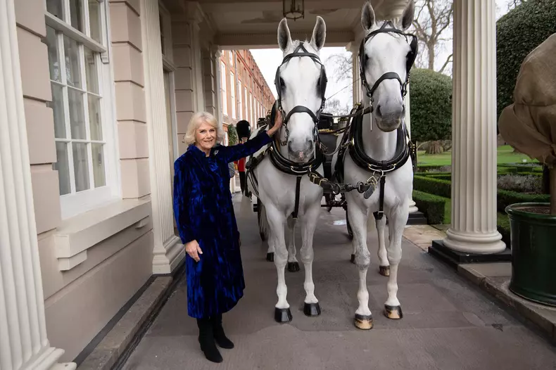 Duchess of Cornwall at Clarence House