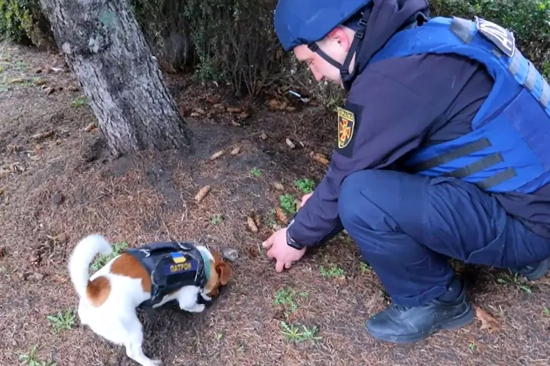 Patron the Mine Hunting Pooch out on Duty