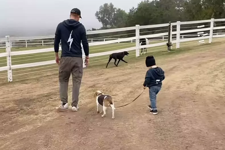 Roundup of images the Sussexes shared of their children