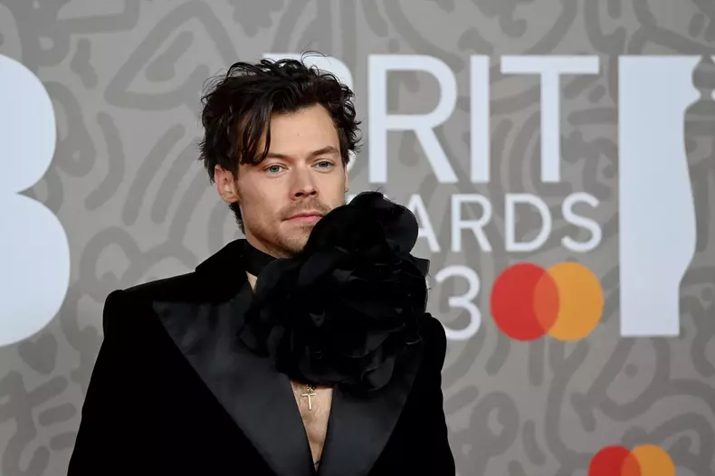 Harry Styles, gest șocant în timpul unui concert
