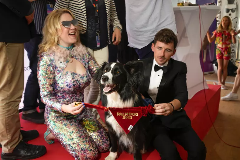 Cannes Palm Dog Awards 2023 - imagine cu Messi, cainele din Anatomy of a fall