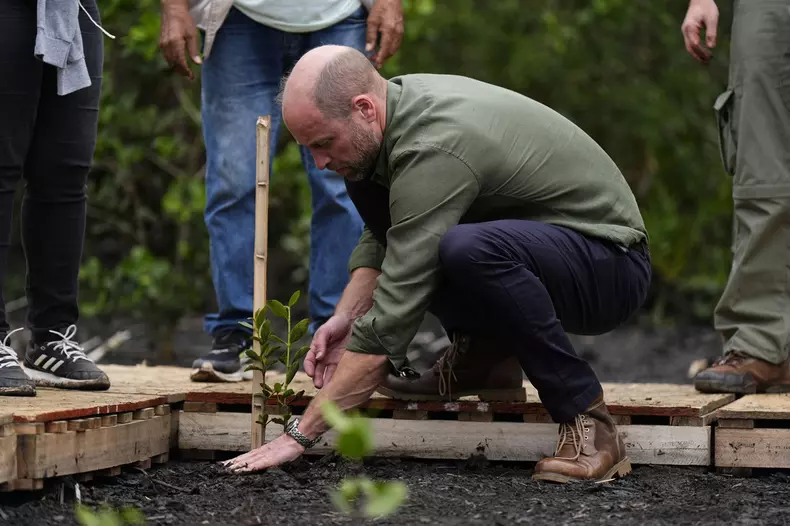 Prince William visits Brazil
