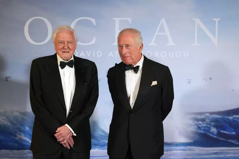 Attenborough 2
