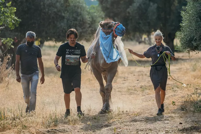 Când-începe-Asia-Express-5