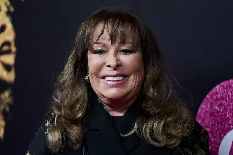 Vip premiere of 'Tina, the musical' at the Teatro Coliseum on Gran Vía