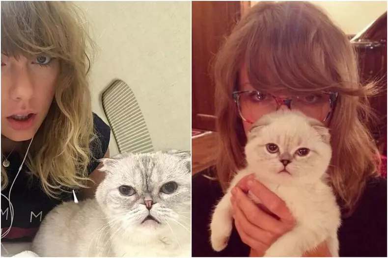 taylor-swift-si-olivia-pisica-ei