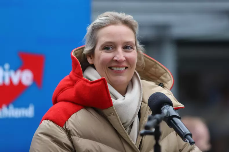 alice weidel 7