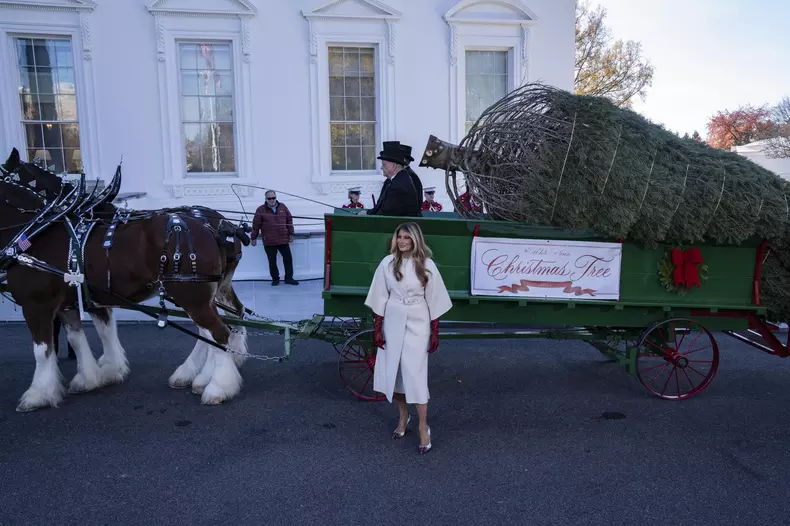 Melania Trump Welcomes the Official 2025 White House Christmas Tree
