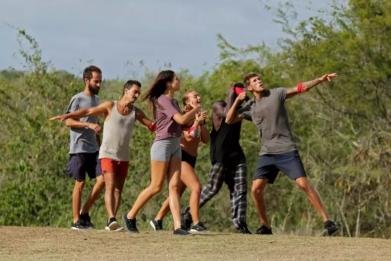 Vulturii-recompensa-Comunicare-1024x683-1