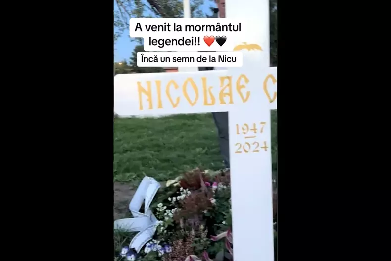 mormant-nicu-covaci8