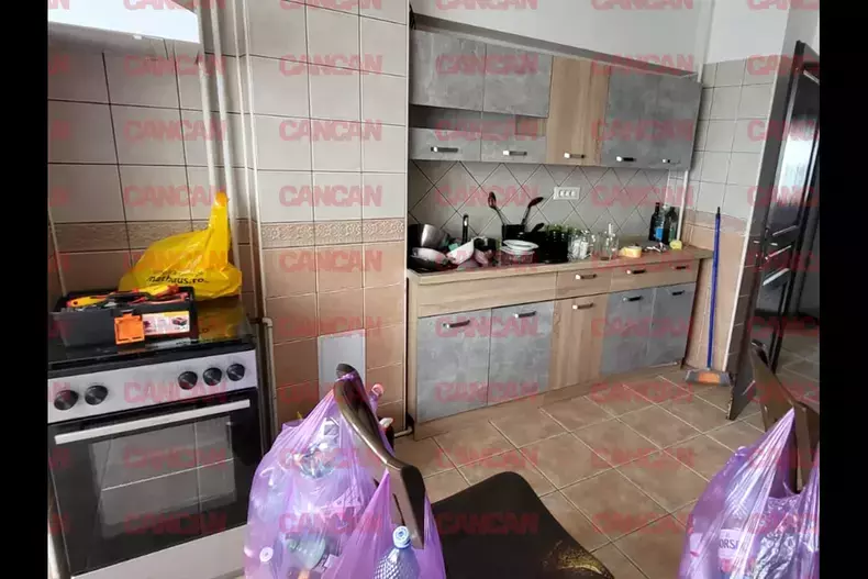 calina-roman-distrus-apartament2