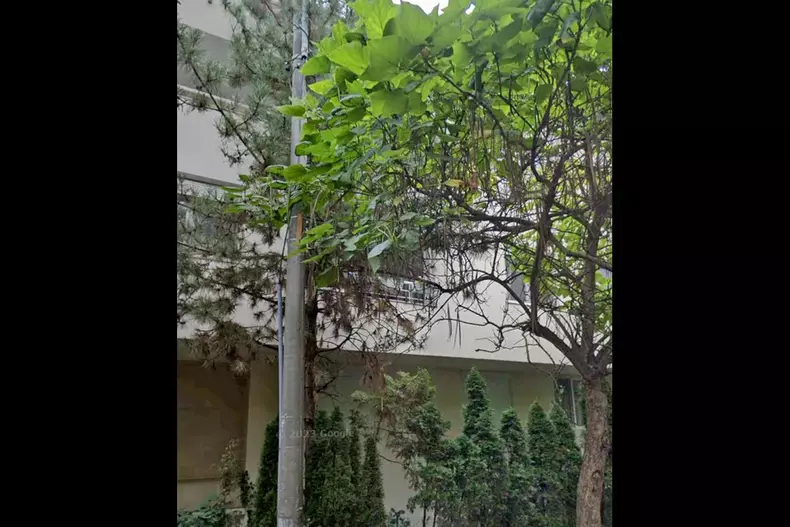 casa boureanu8