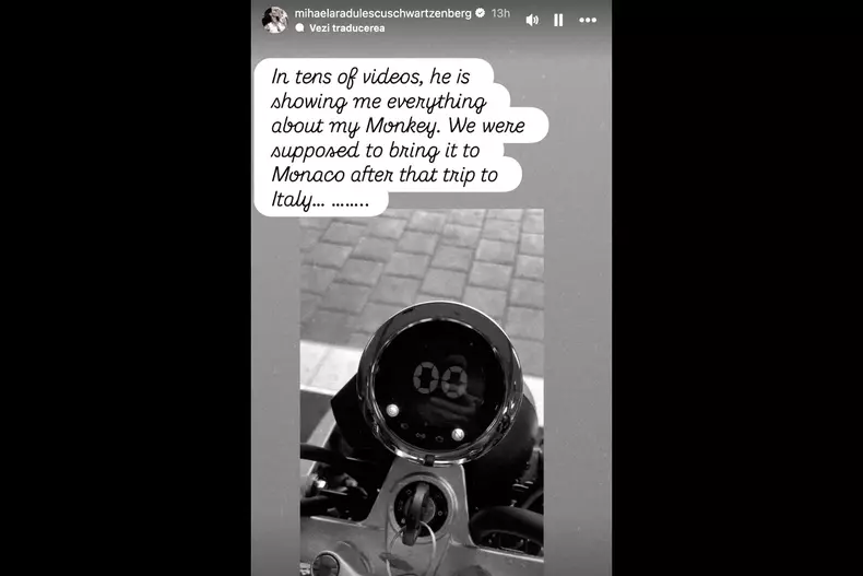 Mihaela Rădulescu postare1