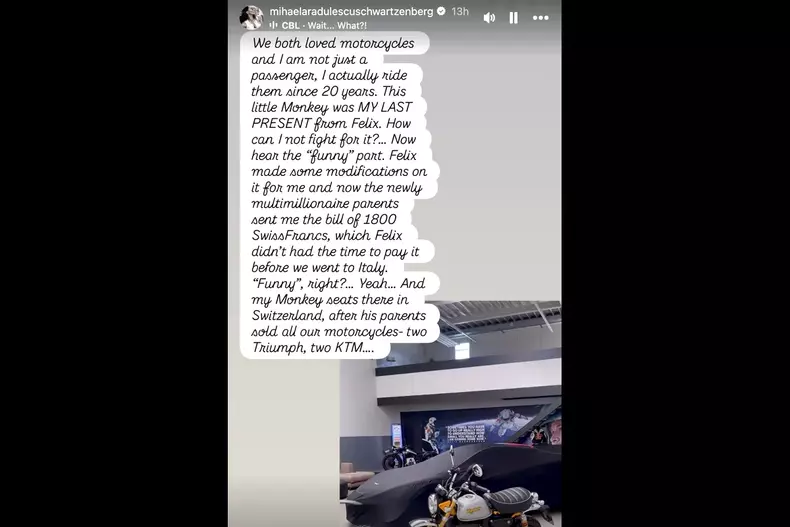 Mihaela Rădulescu postare2