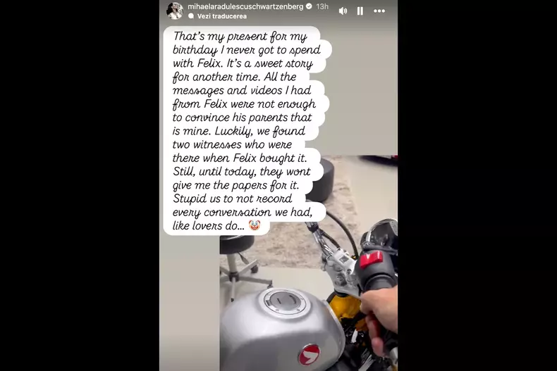 Mihaela Rădulescu postare4