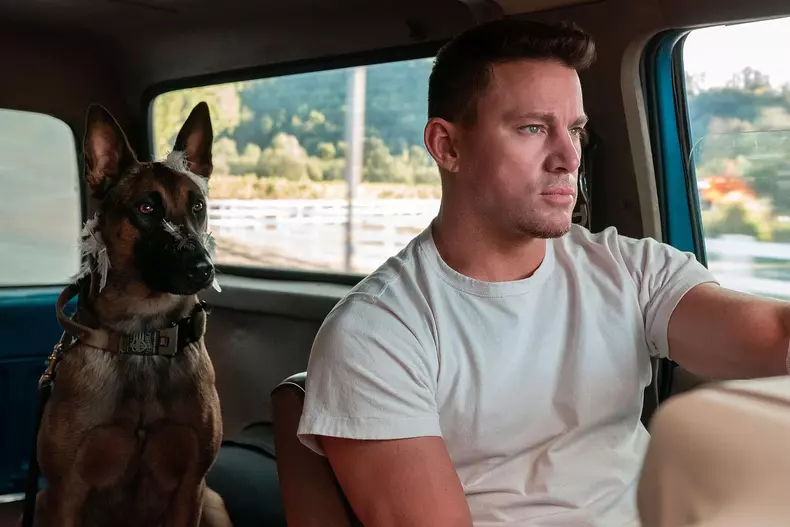 "Dog" (2022)