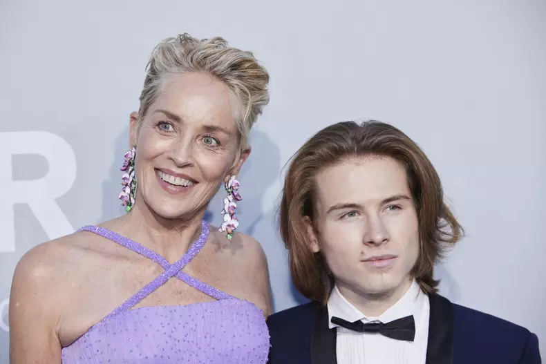 sharon-stone-spune-ce-film-a-contribuit-la-pierderea-custodiei-fiului-ei-10