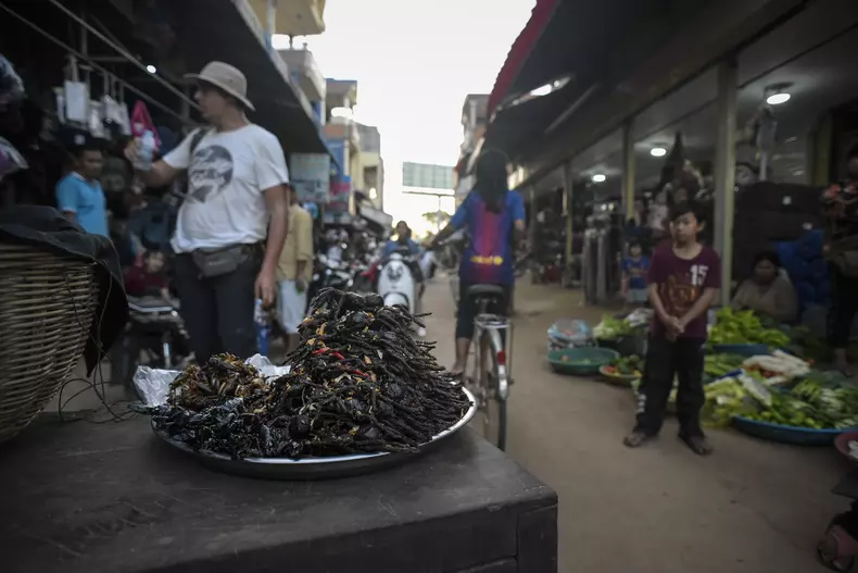 La filmările pentru „Asia Express”, Gina Pistol a gustat mâncărurile bizare ale asiaticilor tarantule, scorpioni și greieri prăjiți (3)