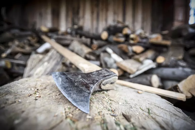 Continuă preselecțiile „Ie, Românie”. Alina Pușcaș și Cornel Păsat au căutat cele mai frumoase fete din Transilvania, alături de Mircea Radu (2)