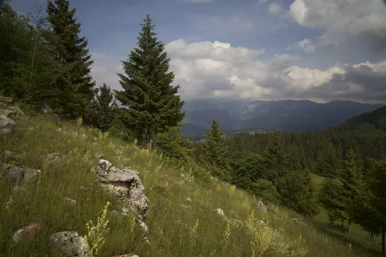 Un nou documentar despre România are premiera în aprilie. Narator va fi Victor Rebengiuc (5)